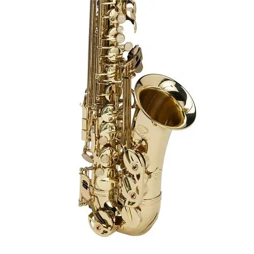SOUNDSATION SALSX-20
