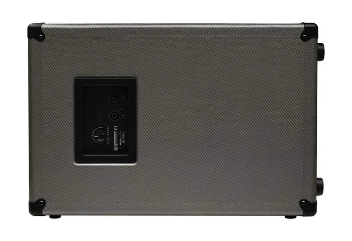 DARKGLASS 210NE