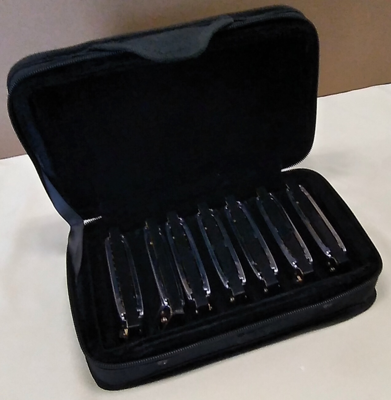 Hohner Blues Band Set