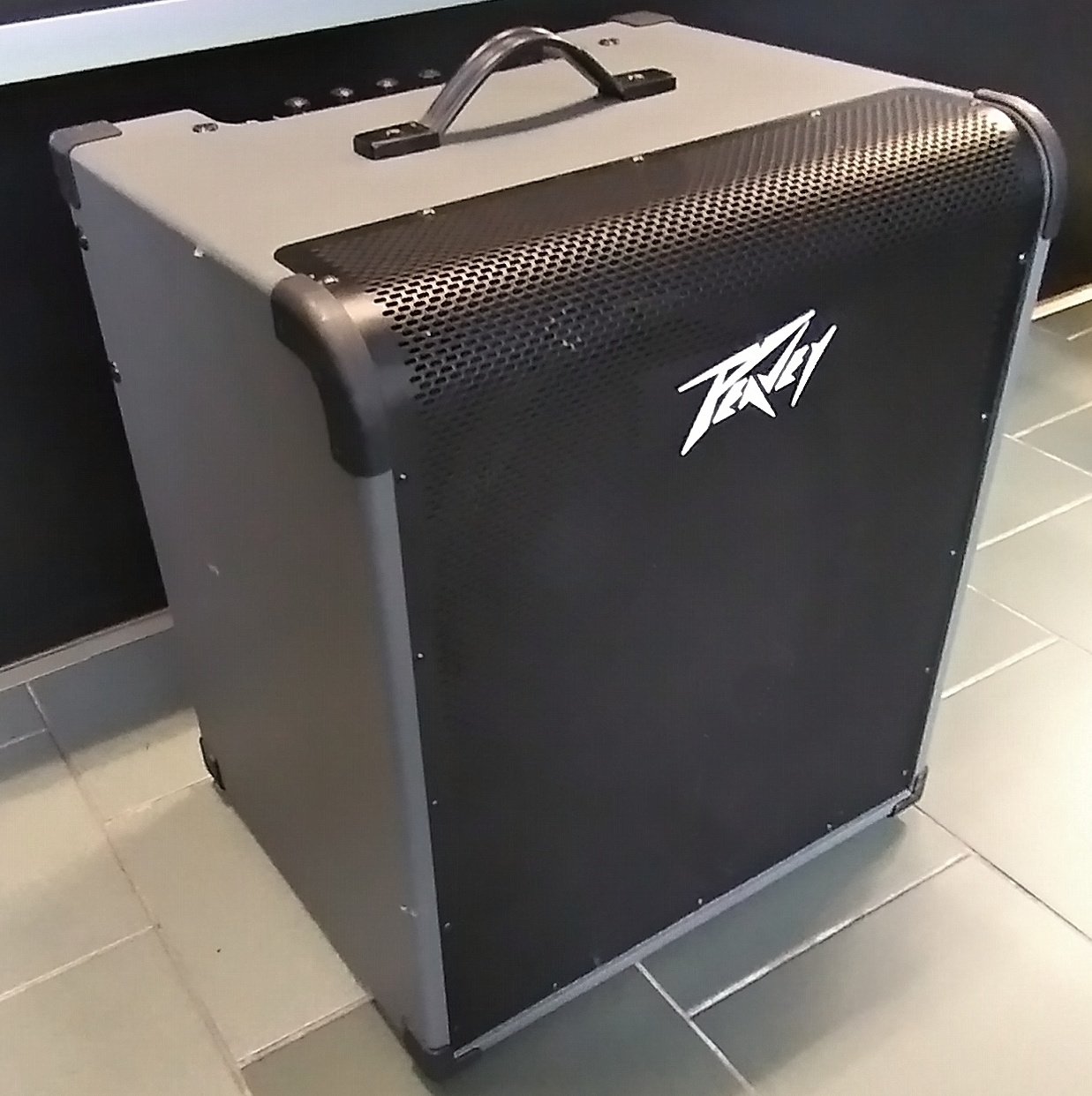 Peavey MAX 250