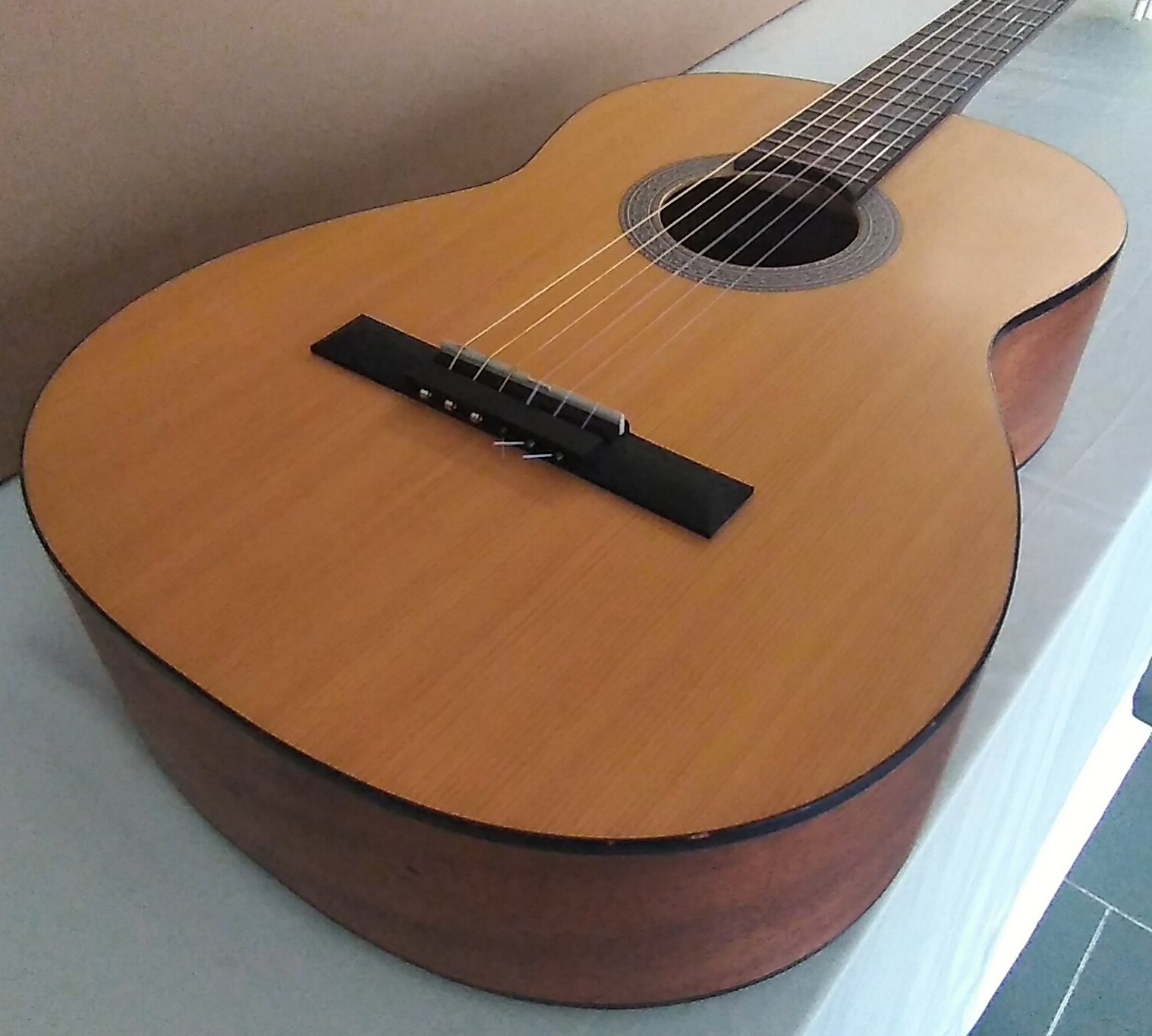 Cort AC10-NS