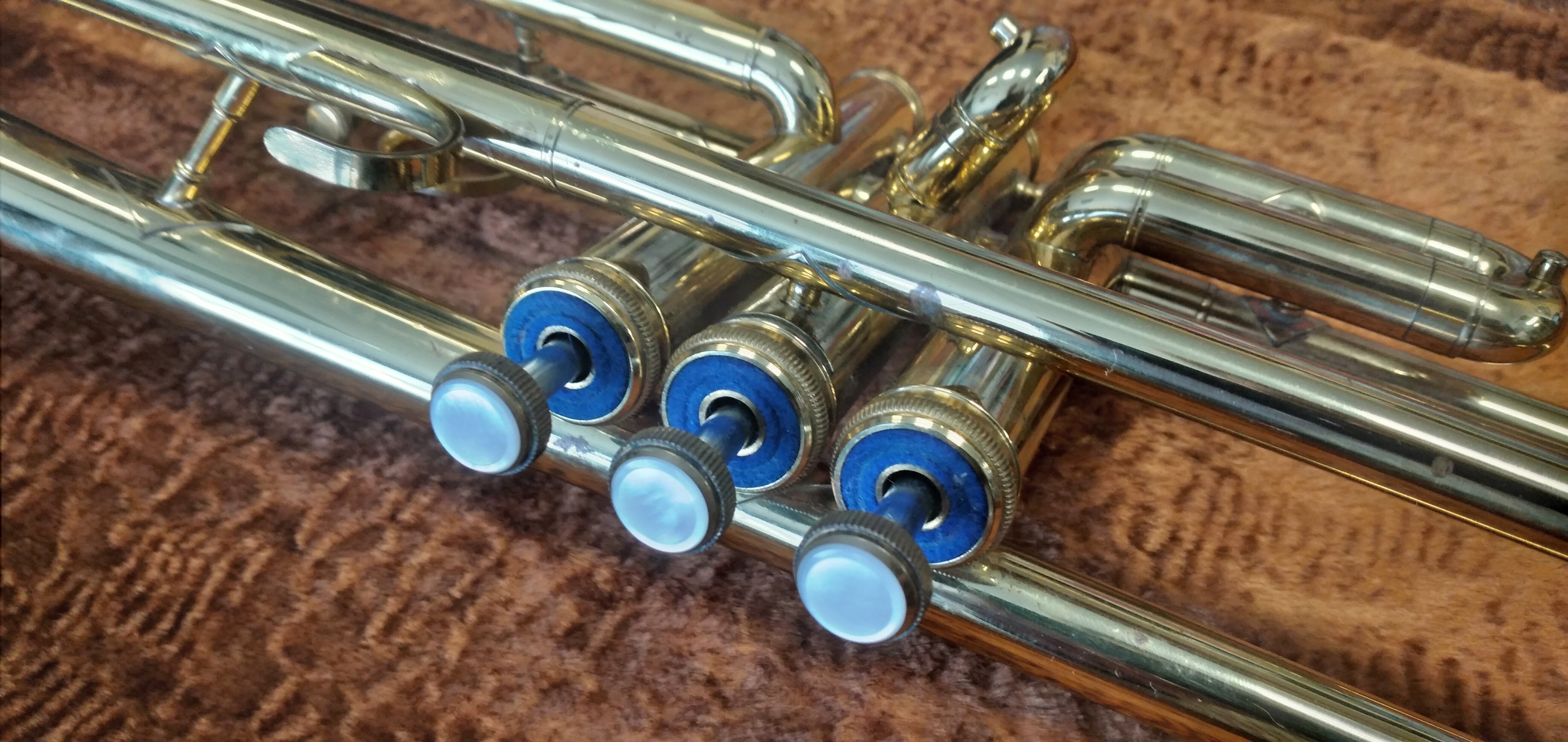 Amati Senator