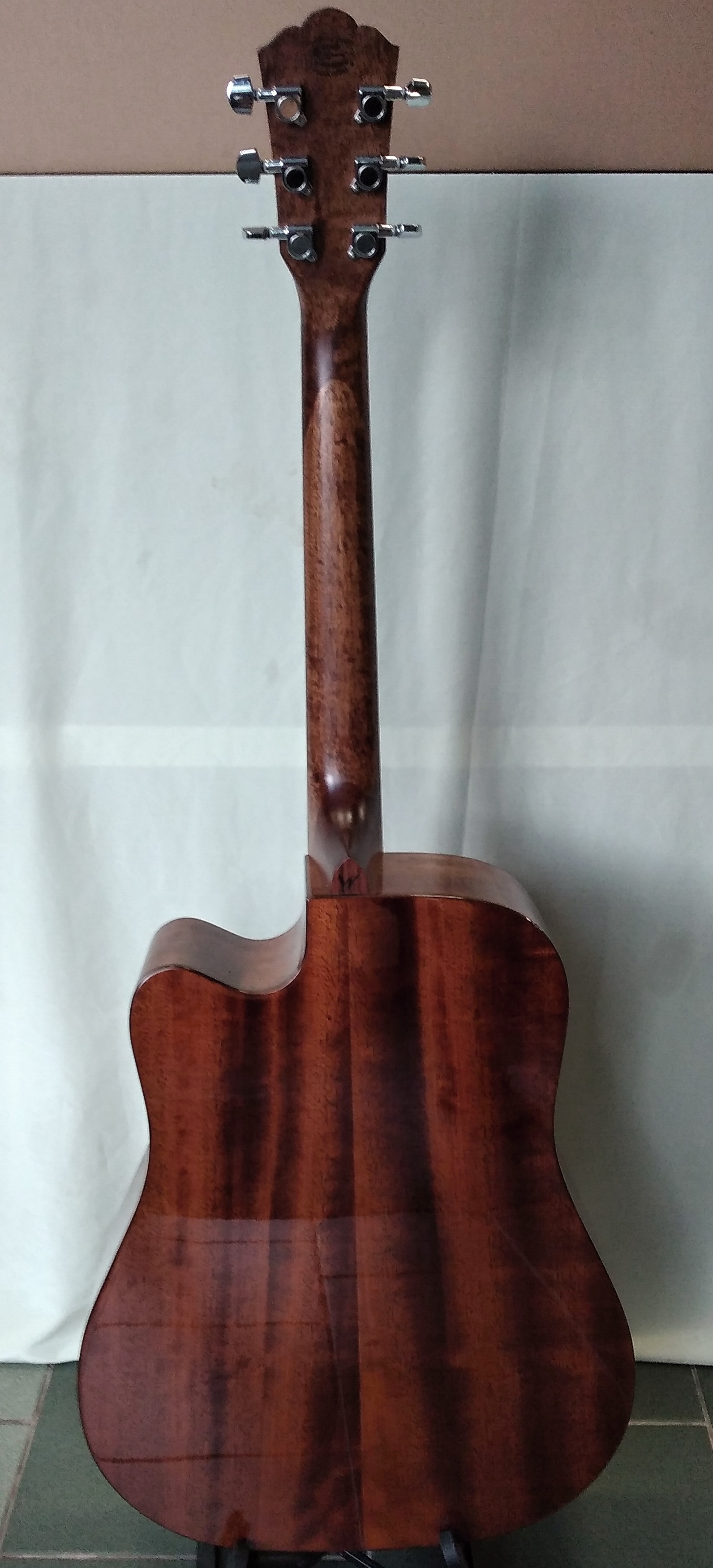 Washburn WLD10SCE