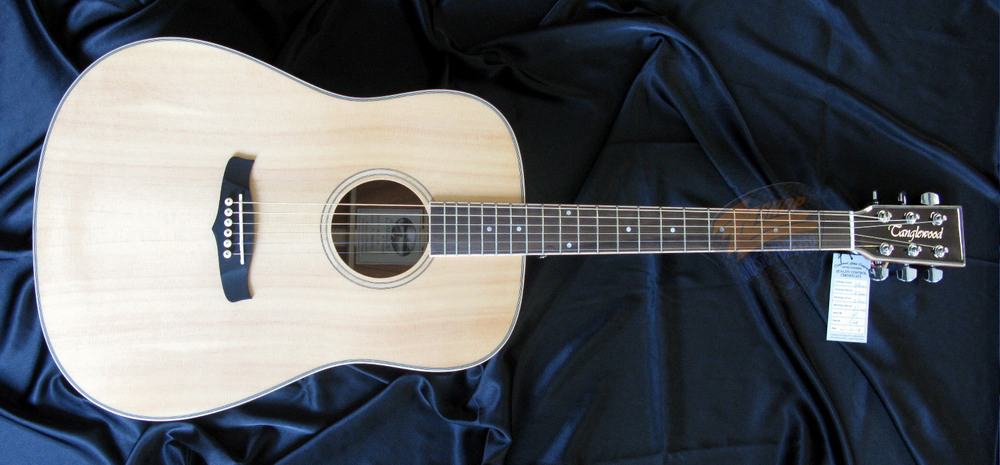 Tanglewood TW28 SSN