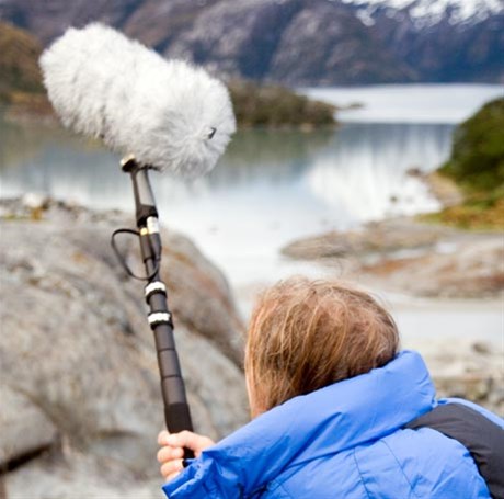 RØDE Mini-BoomPole