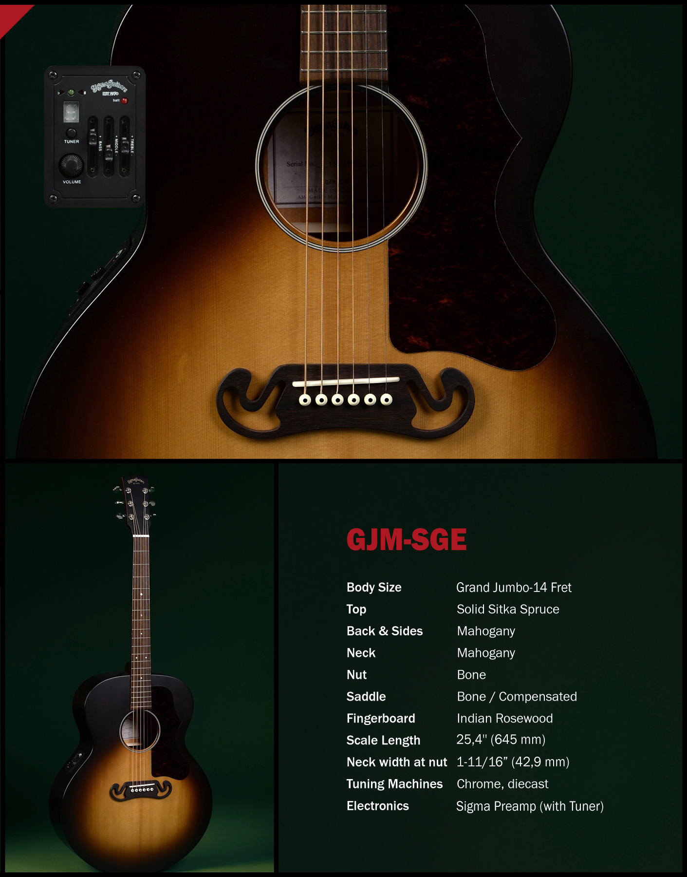 Sigma Guitars GJM-SGE