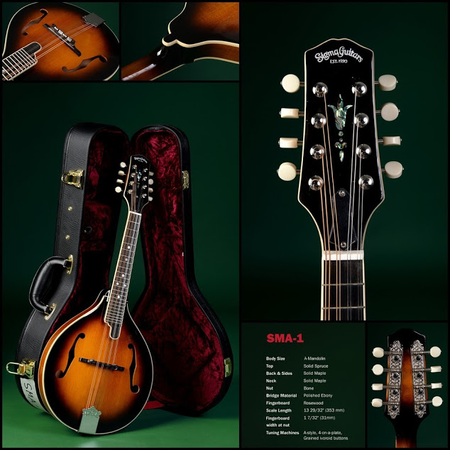 Sigma Guitars SMA-1