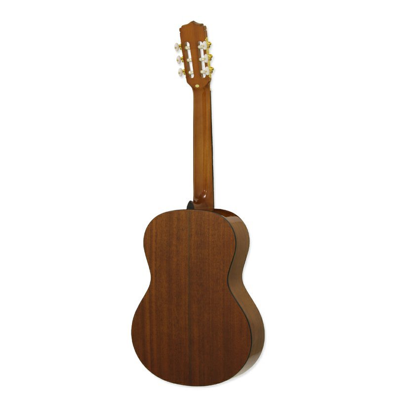 Aria A-20