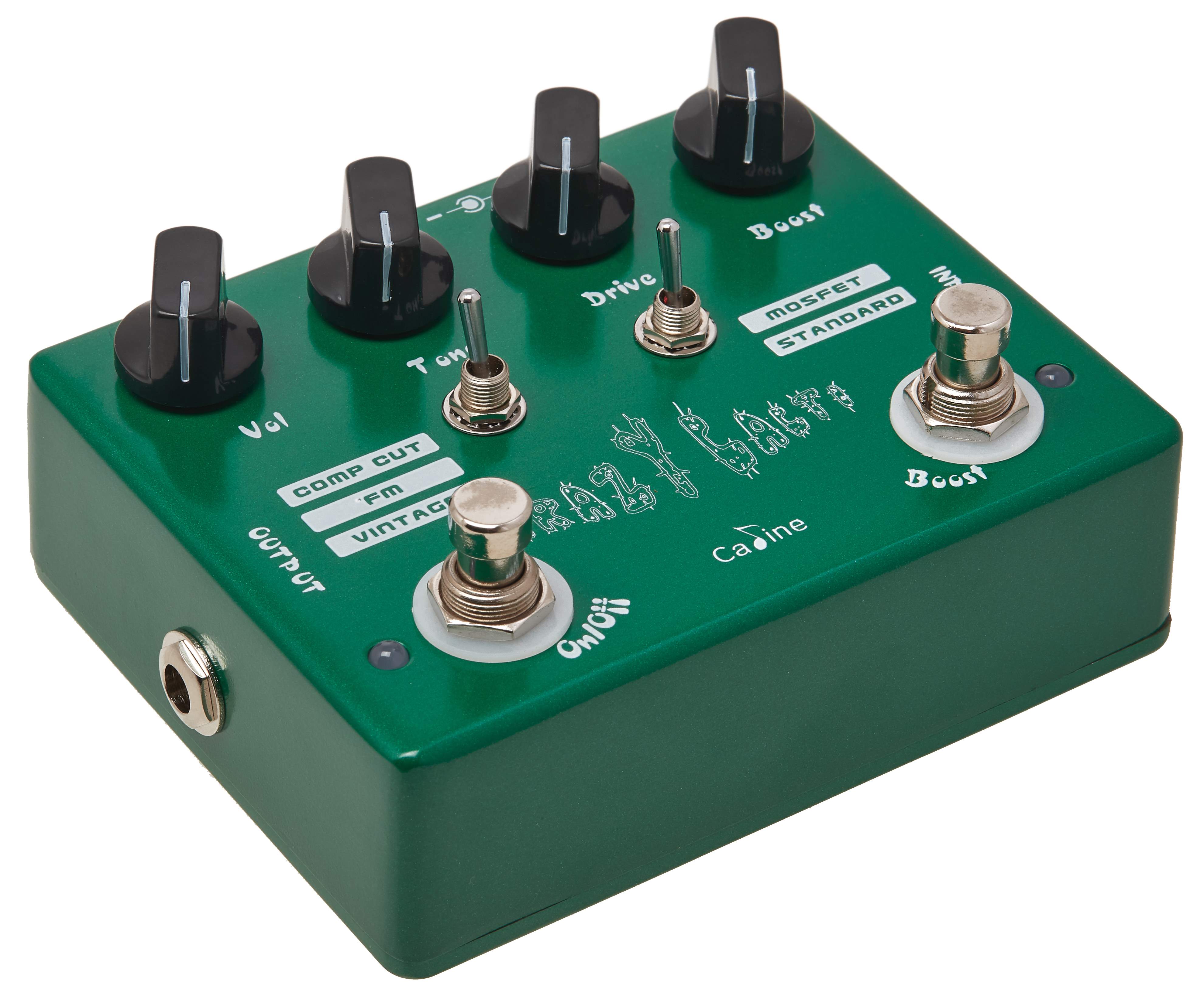 CALINE CP-20 "Crazy Cacti"