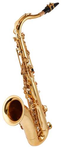 BACIO INSTRUMENTS BTS-100