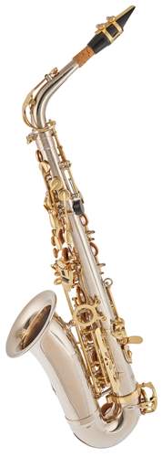 BACIO INSTRUMENTS BAS-100N
