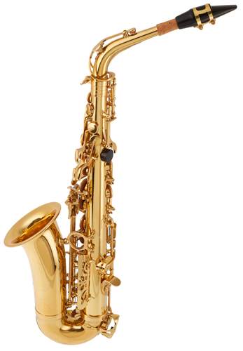 BACIO INSTRUMENTS BAS-100