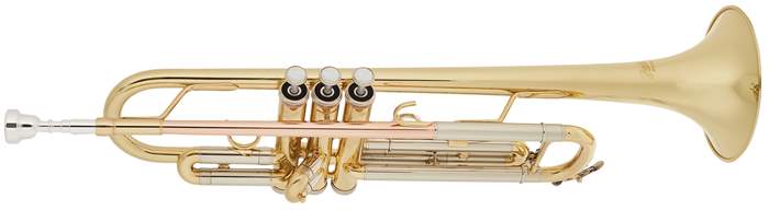 BACIO INSTRUMENTS BTR-100