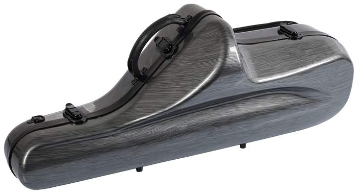 BACIO INSTRUMENTS BTSC100