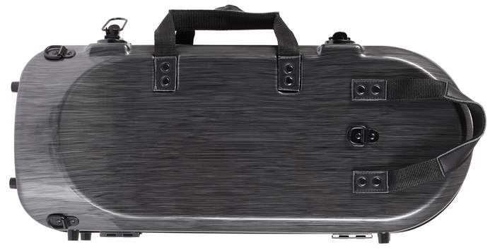 BACIO INSTRUMENTS BTC100