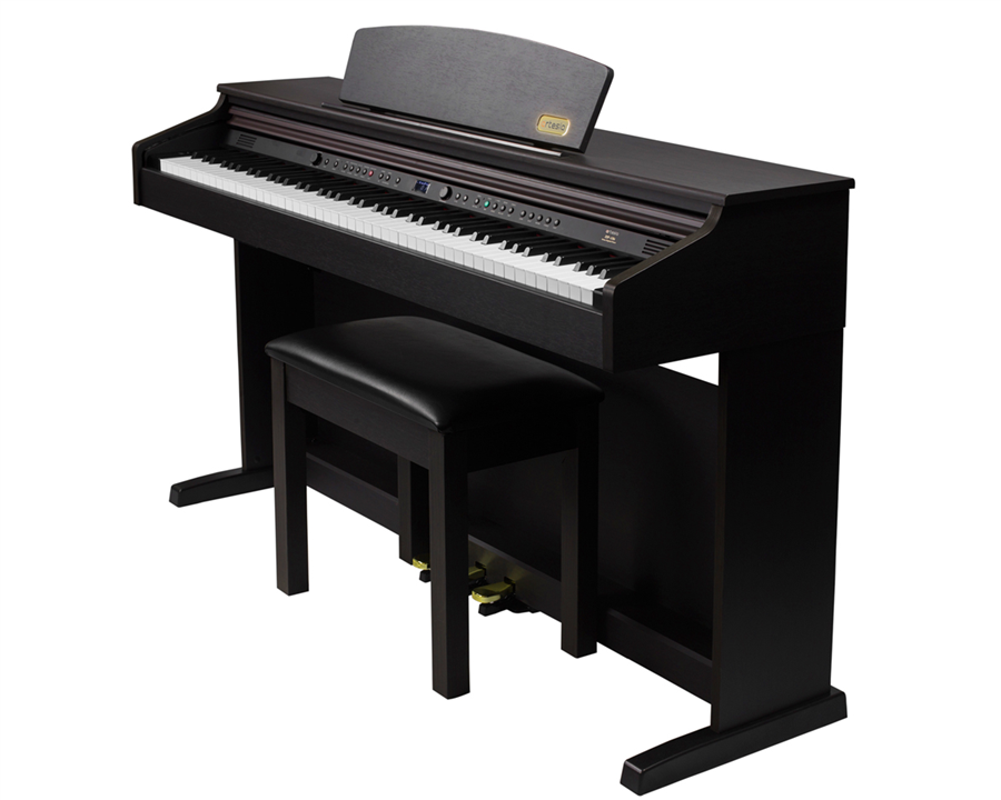 Artesia DP-10e Rosewood