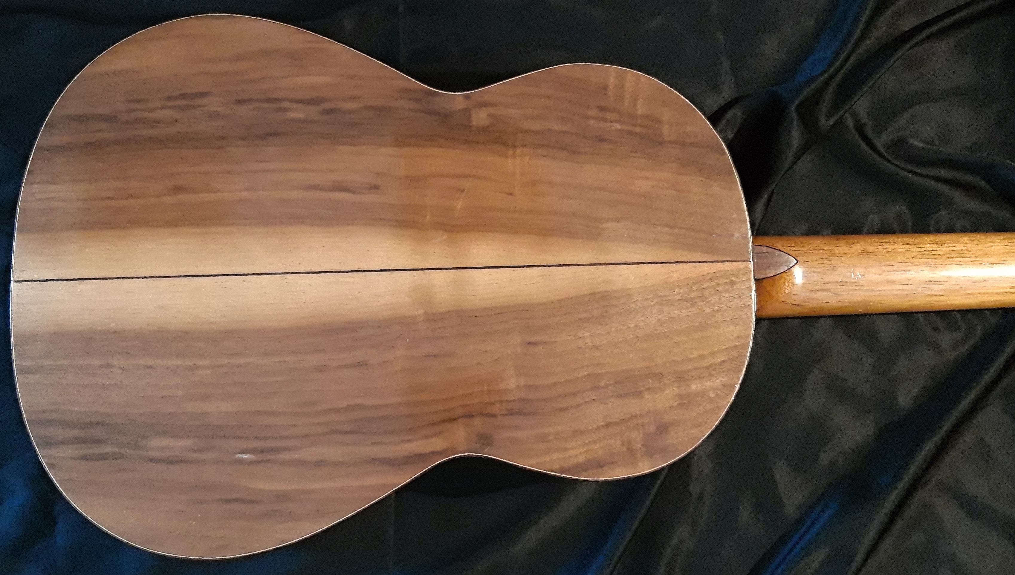  OPUS81 Koncertní mistrovská kytara Martin Fleeson 