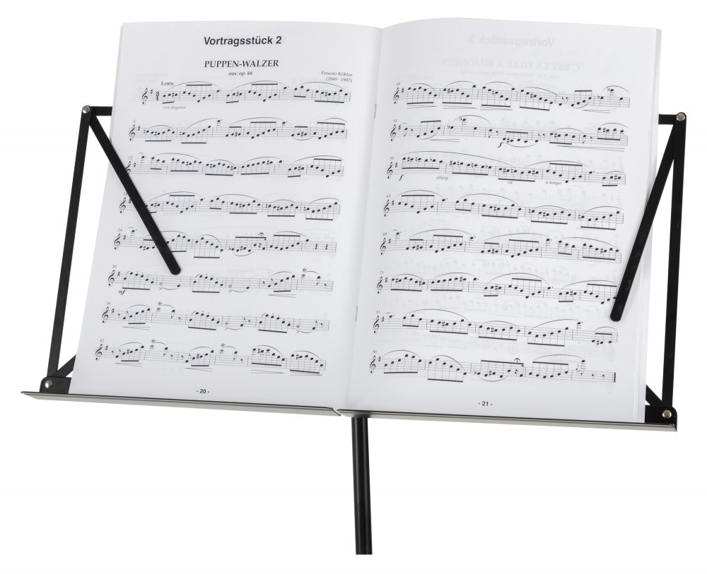 PROLINE Notový stojan - heavy s obalem