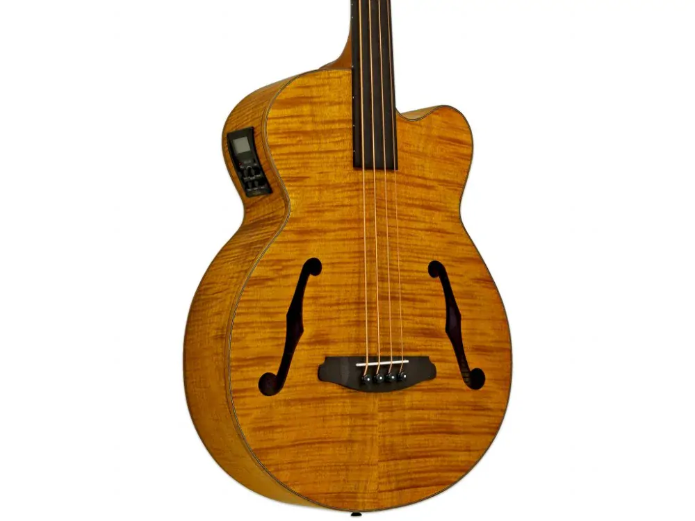 Aria FEB-F2/FL