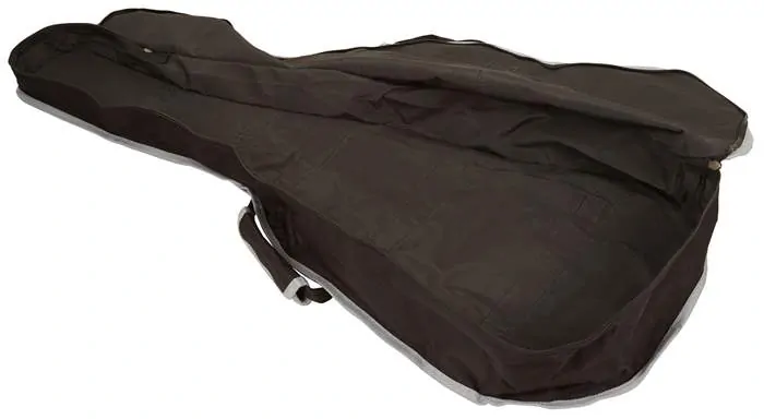 SOUNDSATION SBG-10-CG