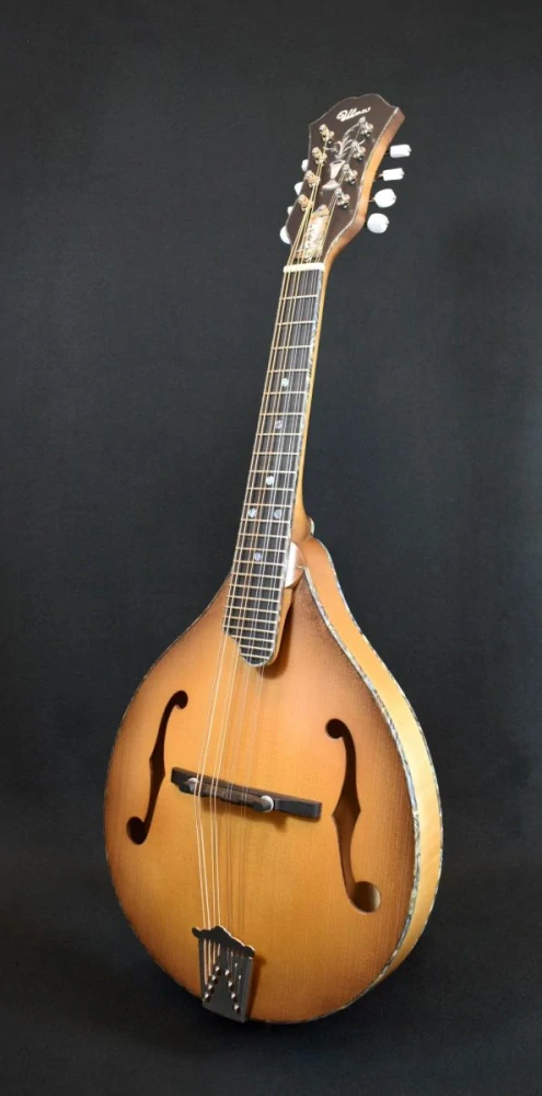 ULMA mandolin A5 Frankie