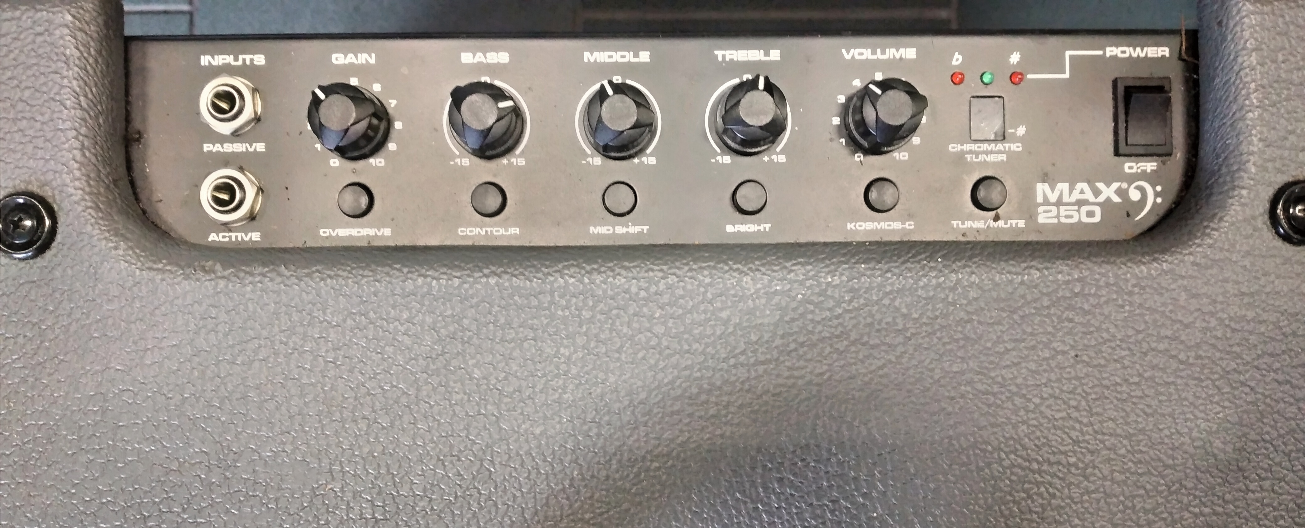 Peavey MAX 250