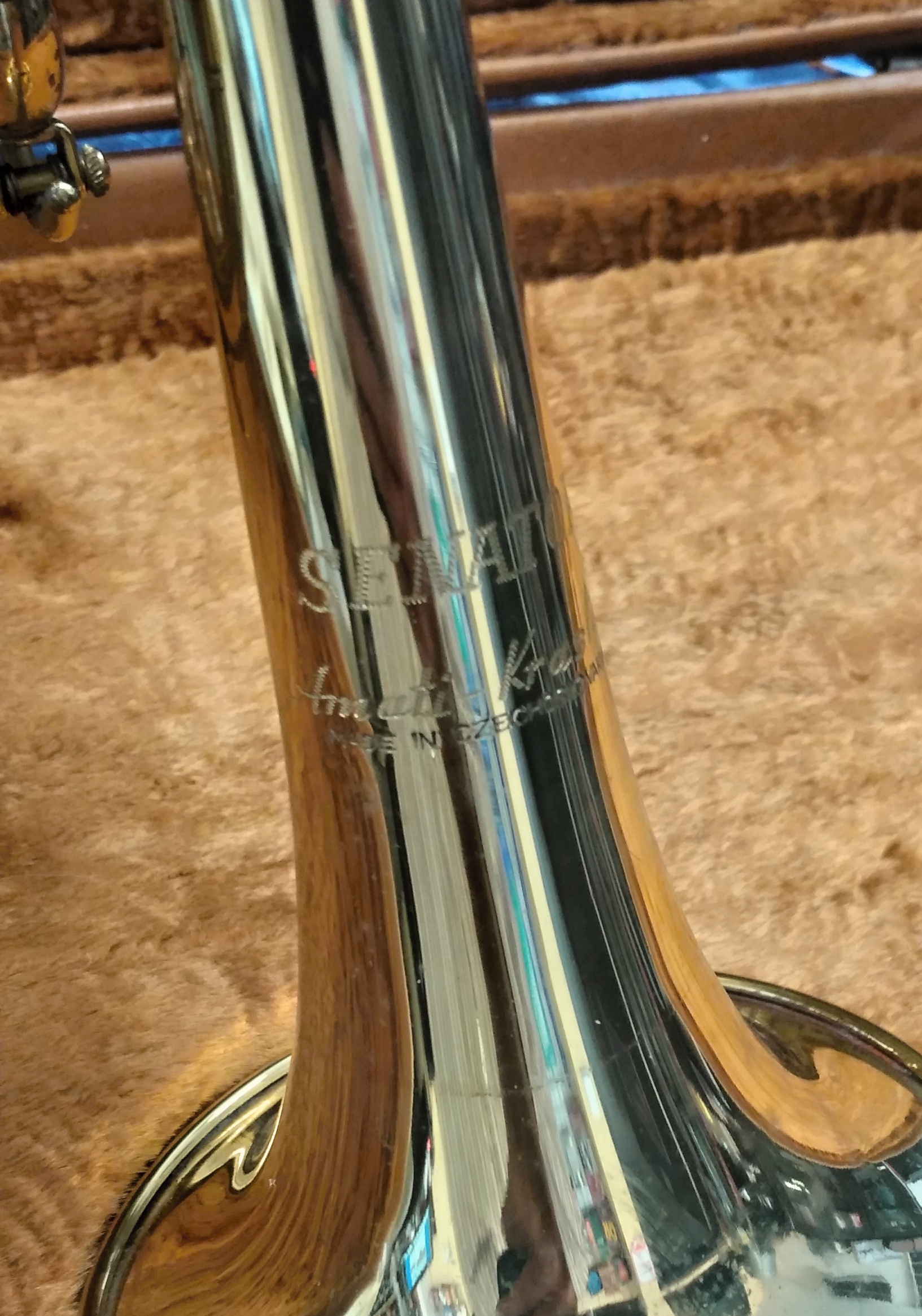 Amati Senator