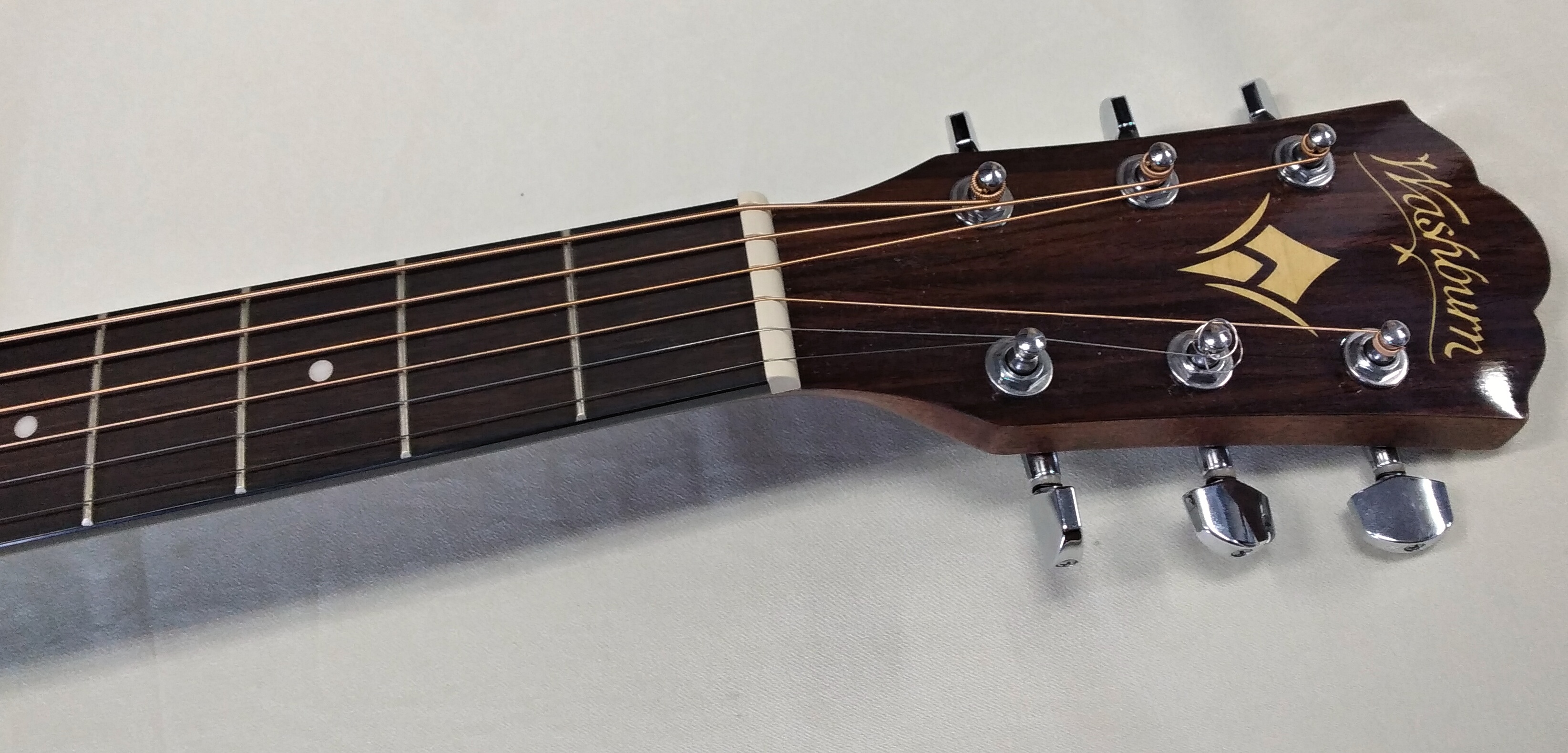Washburn WLD10SCE