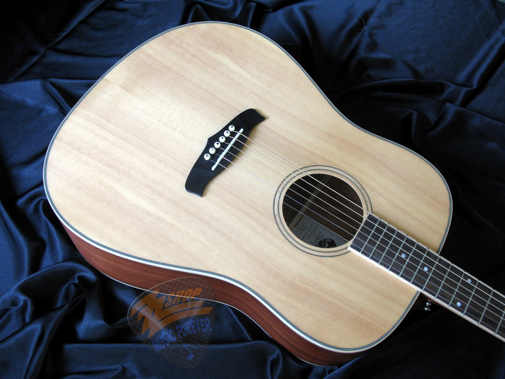 Tanglewood TW28 SSN
