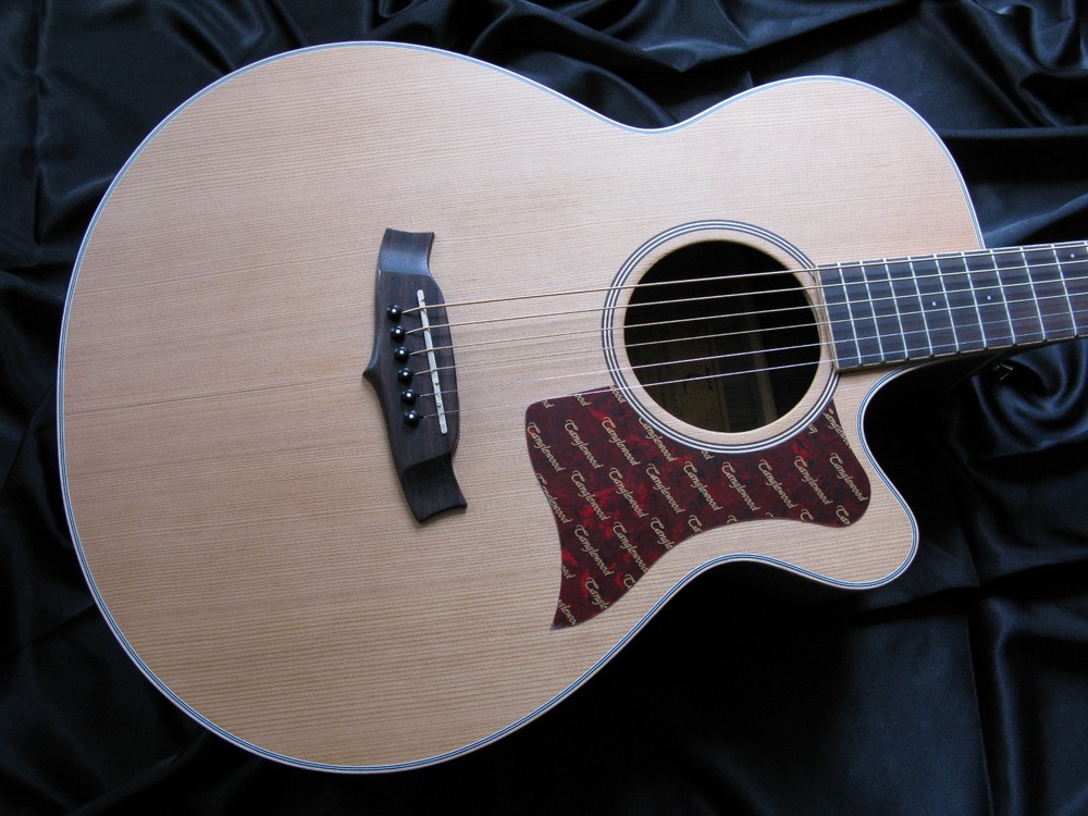 Tanglewood TW45 WOPE