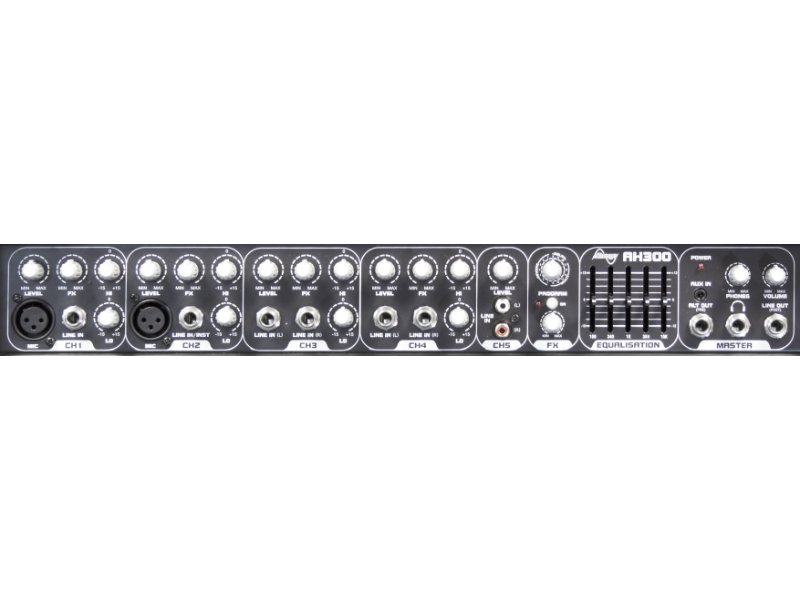 Laney AH300