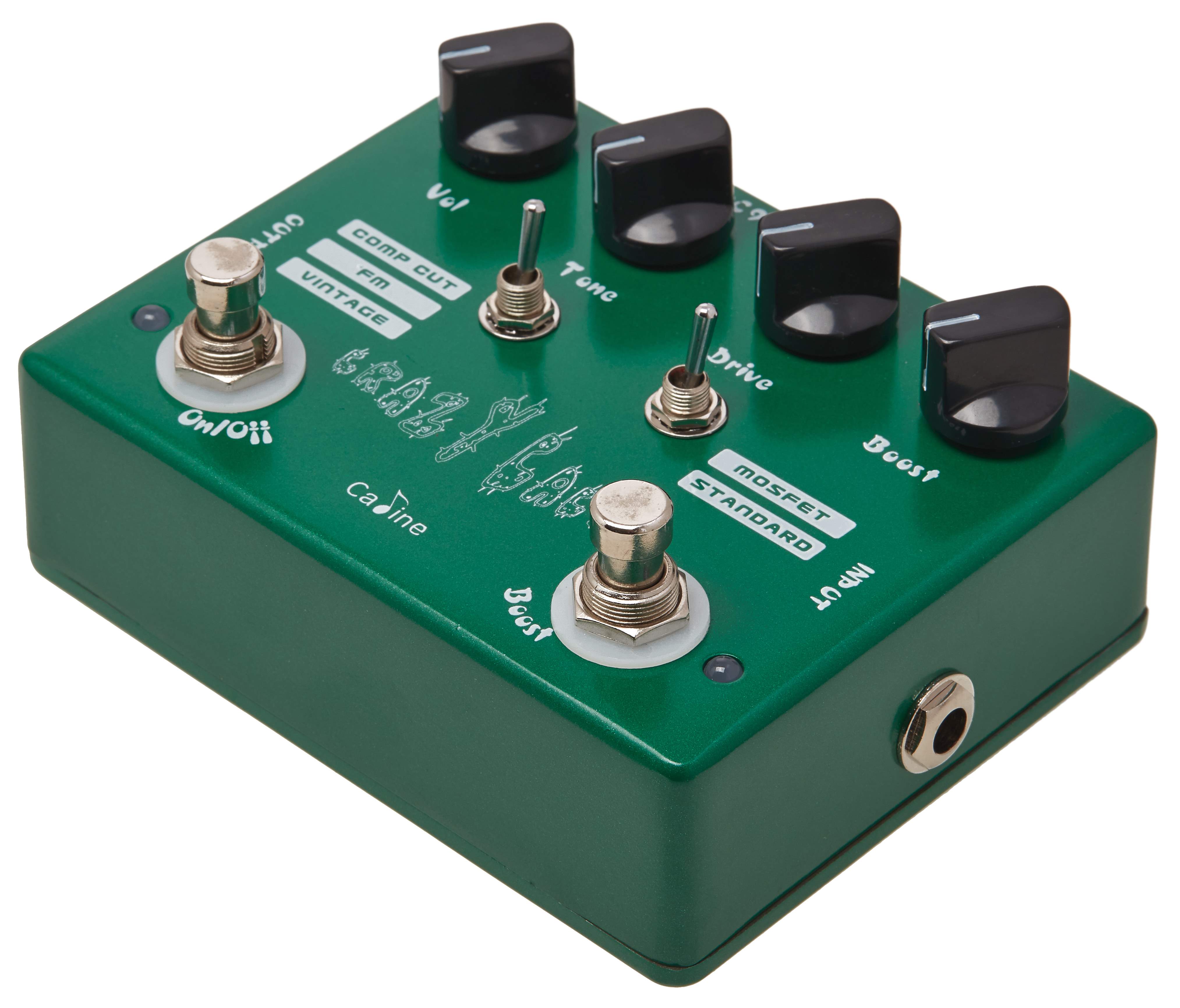 CALINE CP-20 "Crazy Cacti"