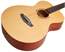 TANGLEWOOD TWR2 O
