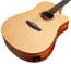 TANGLEWOOD TWR2 DCE