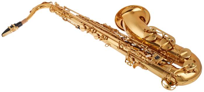 BACIO INSTRUMENTS BTS-100