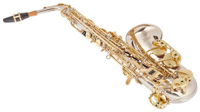 BACIO INSTRUMENTS BAS-100N