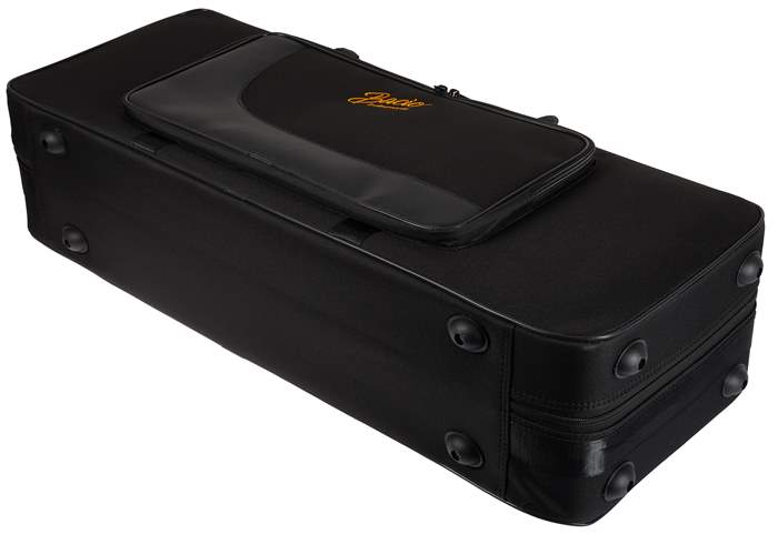 BACIO INSTRUMENTS BTSC010