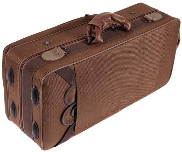 BACIO INSTRUMENTS BTC020