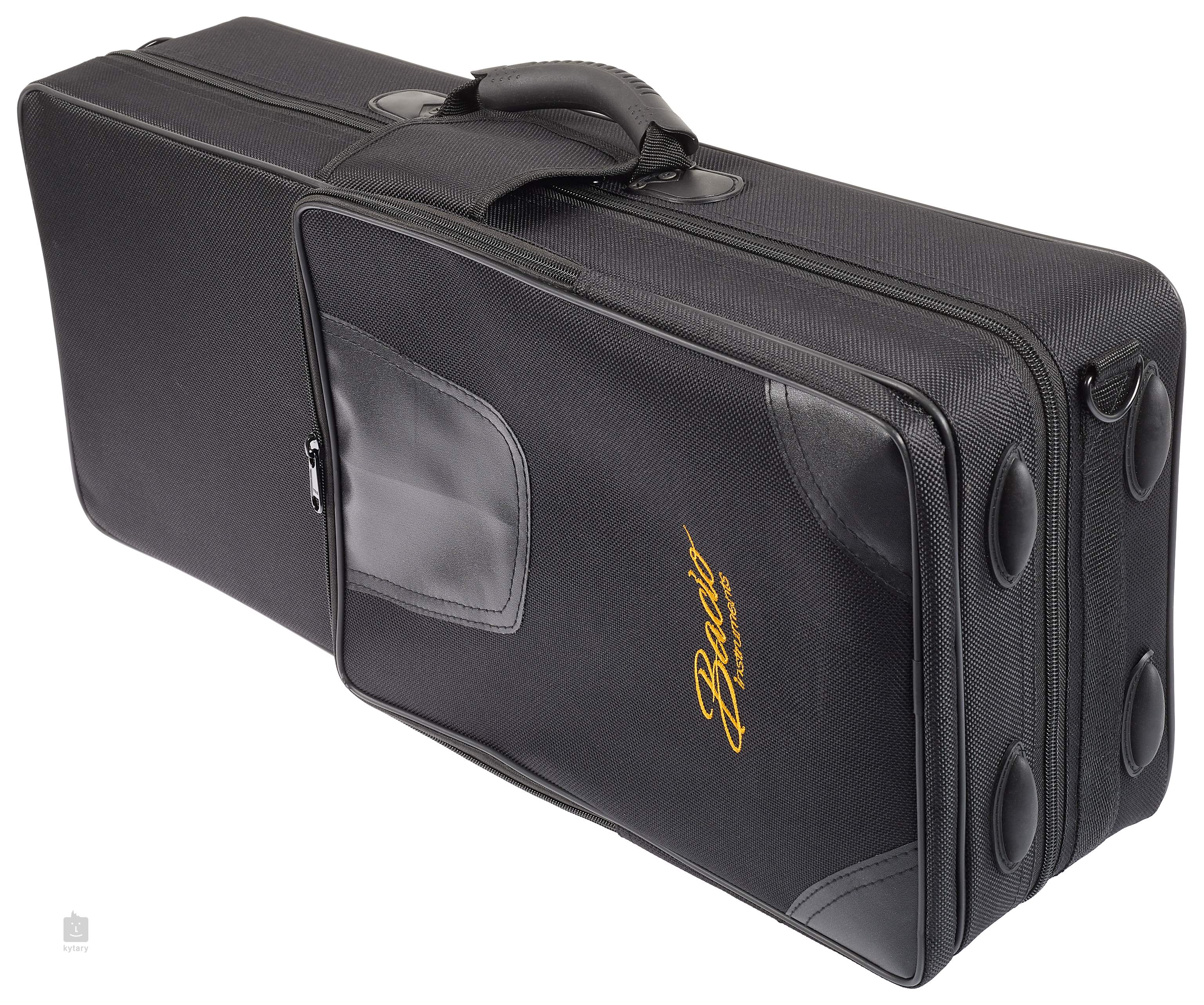 BACIO INSTRUMENTS BASC020