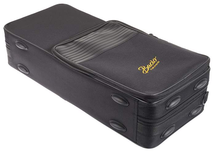 BACIO INSTRUMENTS BASC010