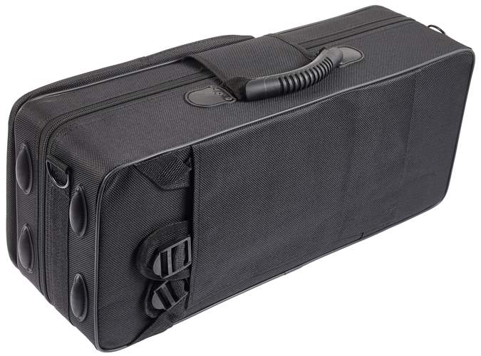 BACIO INSTRUMENTS BTC010
