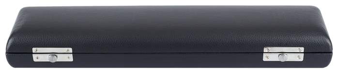 BACIO INSTRUMENTS BFC030