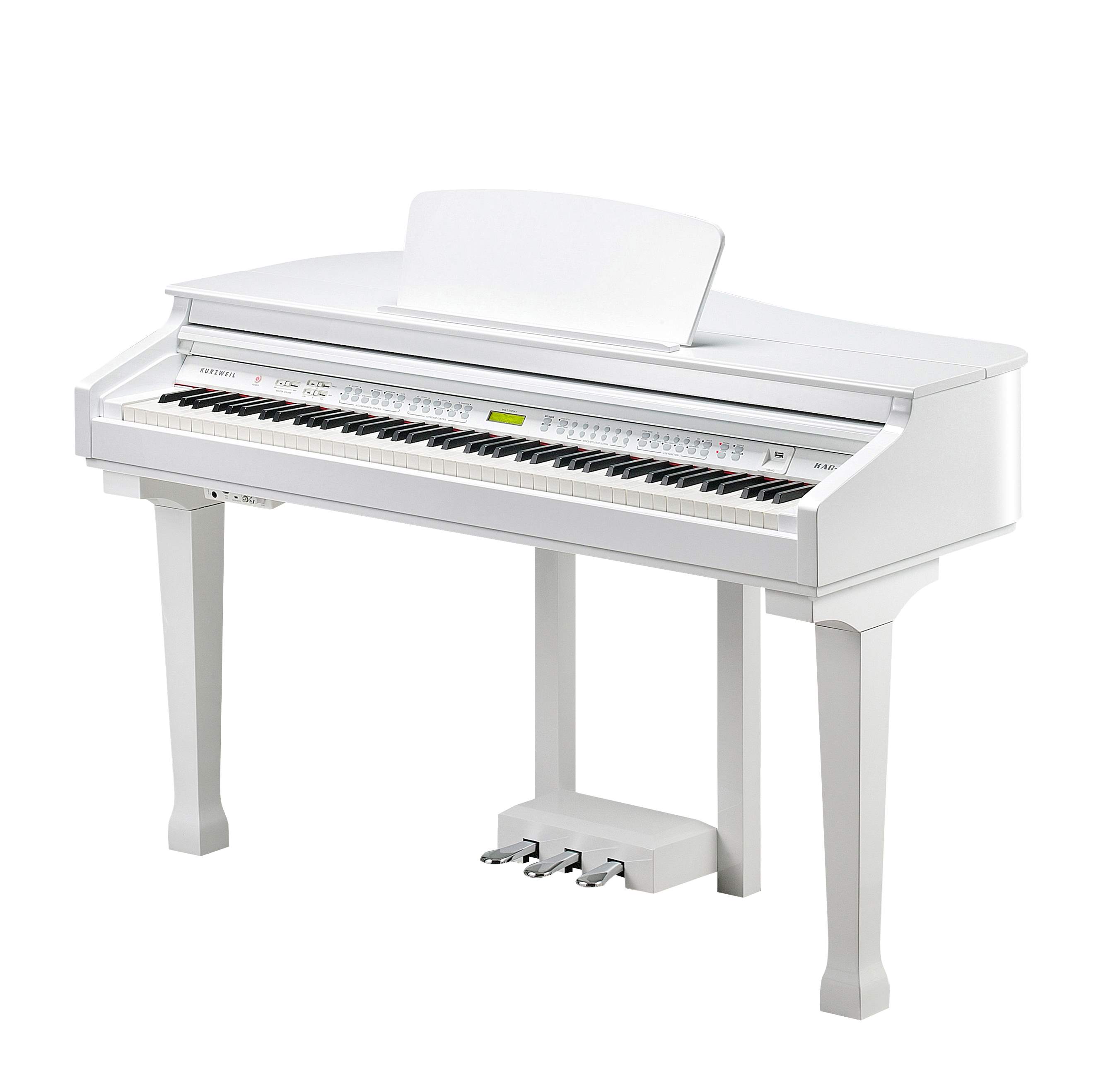 KURZWEIL KAG100 WHP