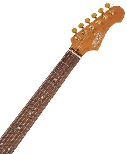 JET GUITARS JS-380 BK G
