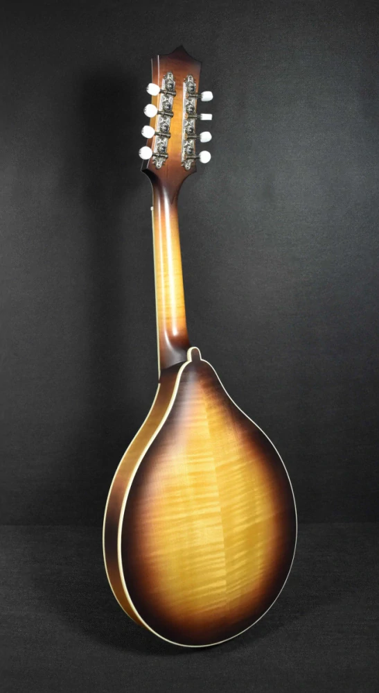 ULMA mandolin A5 Samm