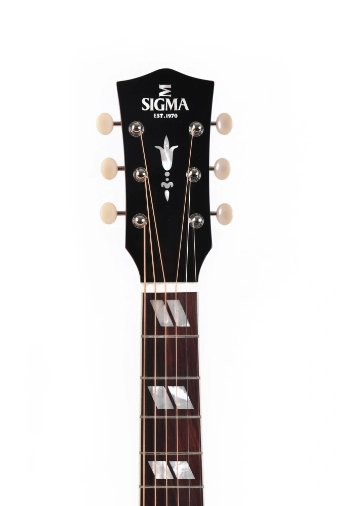 Sigma Guitars SDM-SG6 