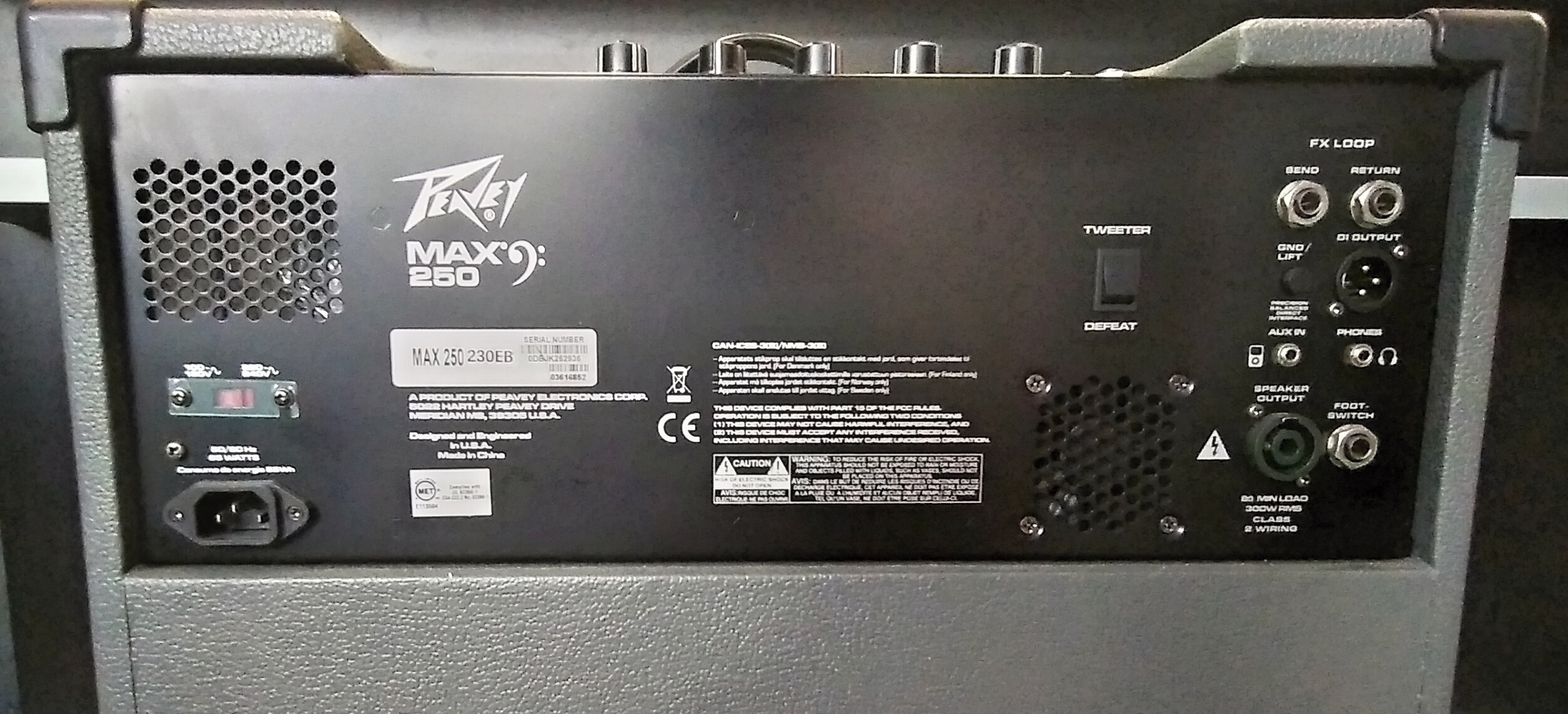 Peavey MAX 250