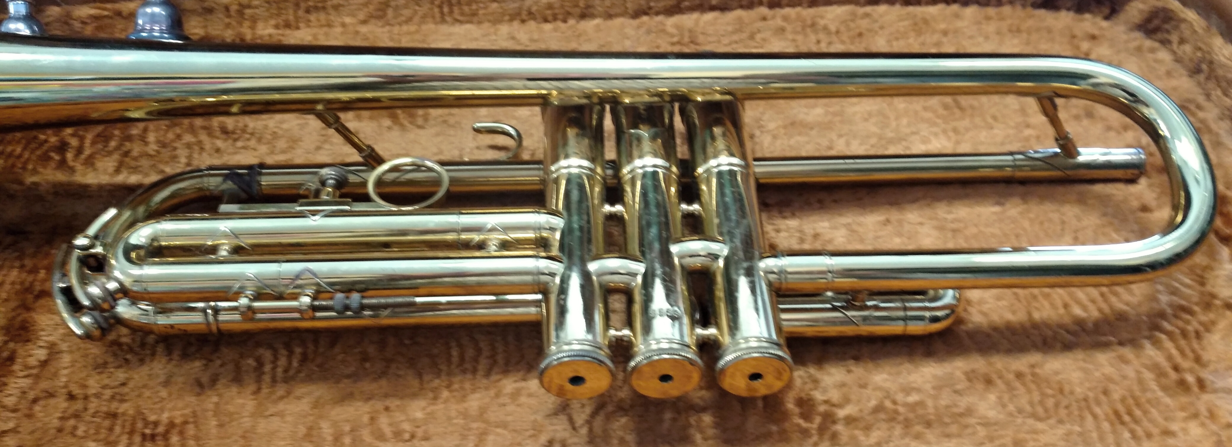 Amati Senator