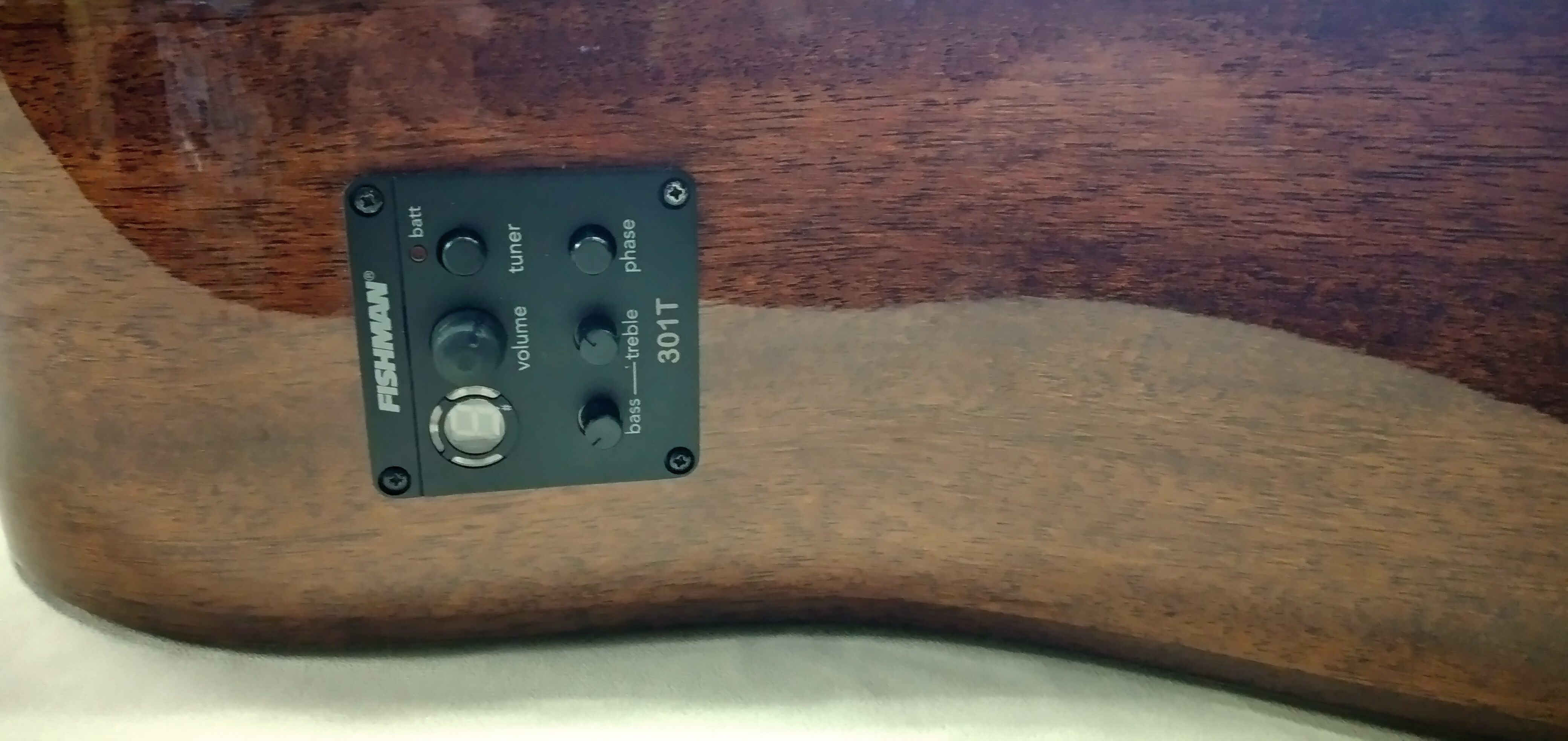 Washburn WLD10SCE