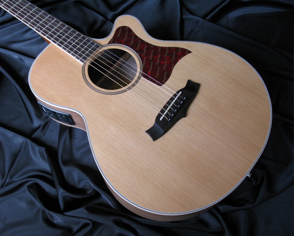 Tanglewood TW45 WOPE